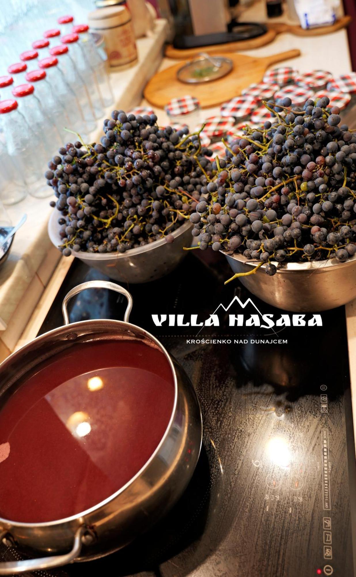 Villa Hasaba Krościenko Eksteriør bilde